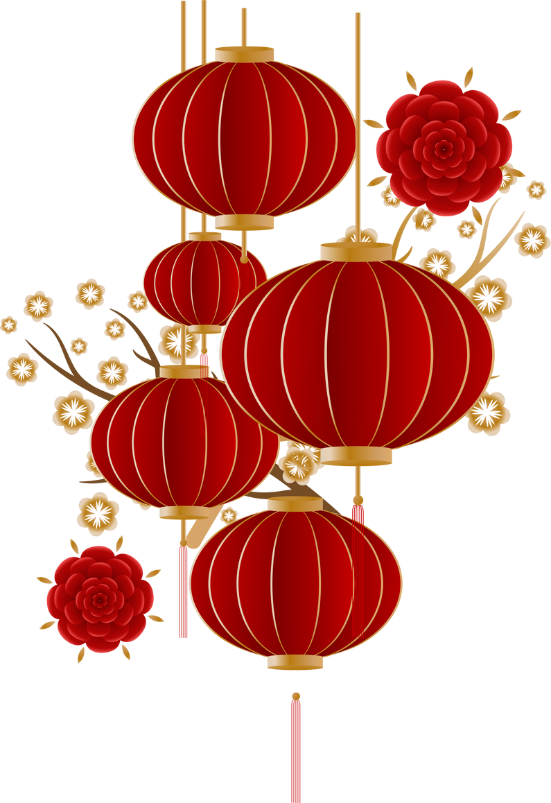 Chinese Lanterns Decoration